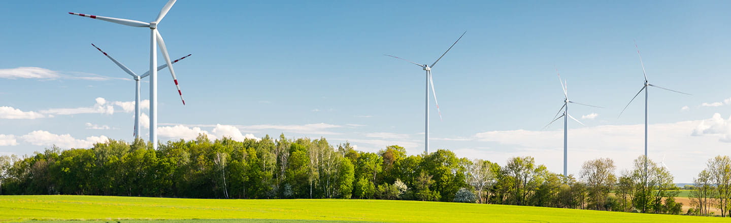 Windfarm on a paddock